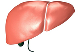 Niske doze acetilsalicilne kiseline smanjuju masnoću jetre i markere upale