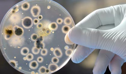 EU prilika za rješavanje problema antibiotske rezistencije