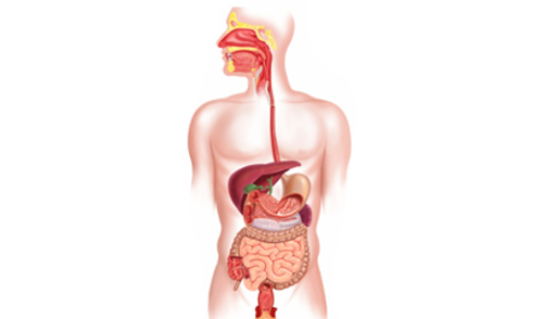 Prikaz bolesnika s gastroezofagealnim refluksom