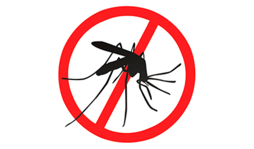 Pilot projekt suzbijanja tigrastih komaraca sterilnim jedinkama iste vrste