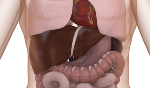 SAD: Veća prevalencija alkoholne masne bolesti jetre s fibrozom