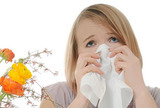 Smjernice za liječenje alergijskog rinitisa - 1. dio