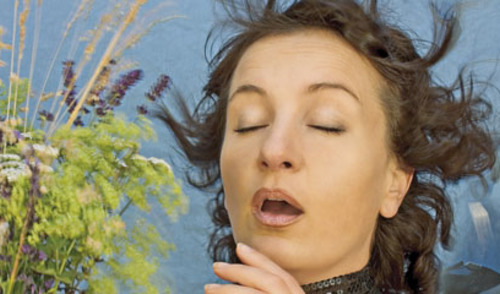 Visoko alergena pelud trava Visoko alergena pelud trava