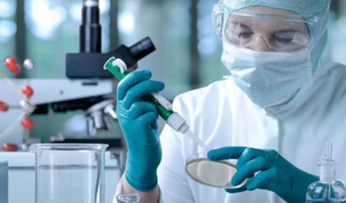 Određivanje receptora epidermalnoga čimbenika rasta (EGFR) u tumorskim stanicama Određivanje receptora epidermalnoga čimbenika rasta (EGFR) u tumorskim stanicama