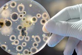 Europa u borbi protiv antimikrobne rezistencije