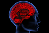 Tromboza moždanih vena i venskih sinusa - prikaz slučaja
