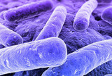 Neočekivano složena i bizarna skupina crijevnih mikroba 