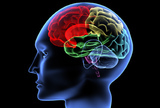 Stimulacijom mozga protiv Alzheimera