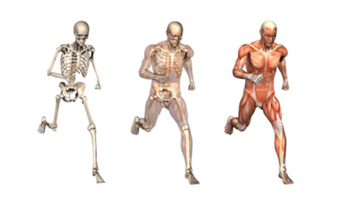 I peronealne tetive postoje, zar ne? I peronealne tetive postoje, zar ne?