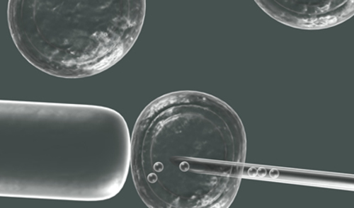 Prijenos smrznutog embrija povezan s malim povećanjem rizika od raka u potomstvu