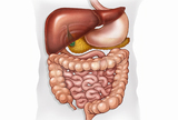 Nealkoholna masna bolest jetre (eng. nonalcoholic fatty liver disease; NAFLD)