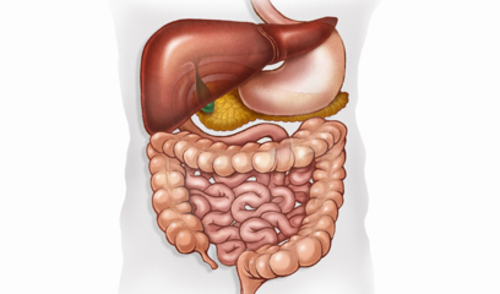 Nealkoholna masna bolest jetre (eng. nonalcoholic fatty liver disease; NAFLD)