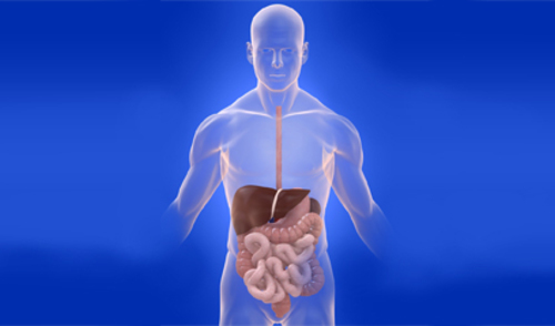 Tumor debeloga crijeva – epidemiologija i etiologija 