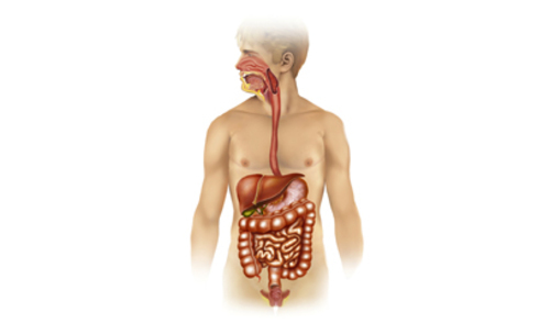 Epidemija Kolere u Jemenu Epidemija Kolere u Jemenu