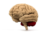 TIA i bodovni sustav u procjeni nastanka moždanog udara