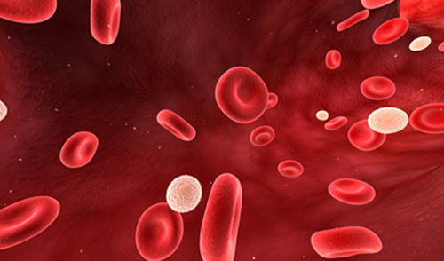 Međunarodni dan hemofilije, 17. travnja