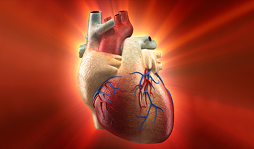 SAD: Odobren novi uređaj u liječenju zatajivanje srca - bolja kontraktibilnost