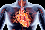 Arteriograf – neinvazivno mjerenje arterijske krutosti