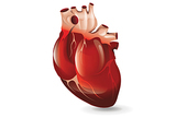 Kardiovaskularno zdravlje u menopauzi
