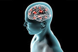 Koja je uloga NMDA receptora u moždanoj aktivnosti i psihičkim poremećajima?