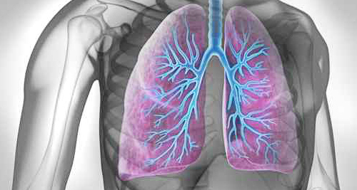 Svjetski dan tuberkuloze, 24. ožujka