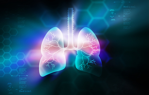 Uska veza onečišćenja i respiratornih infekcija