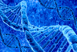 Znanstvenici otkrili gen odgovoran za osjećaj sitosti