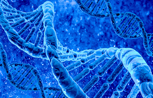Znanstvenici otkrili gen odgovoran za osjećaj sitosti