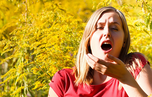 Alergijski sindrom dišnih putova – alergijski rinitis i astma