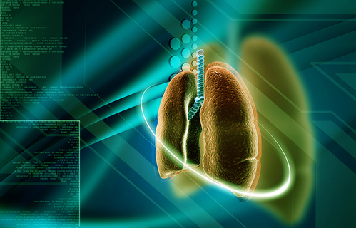 Uloga plućne rehabilitacije prije i nakon transplantacije 