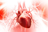 Ponavljajuća spontana disekcija koronarnih arterija