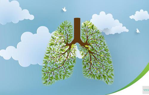 Danas, 25. 9. obilježava se Svjetski dan pluća