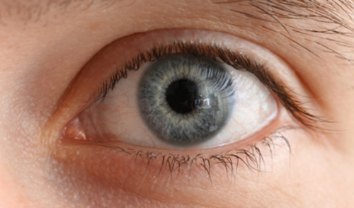 Sindrom suhog oka