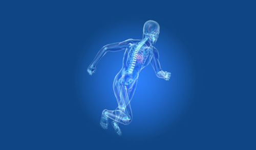 Mišićna snaga i gustoća kostiju u bolesnika s različitim reumatskim stanjima