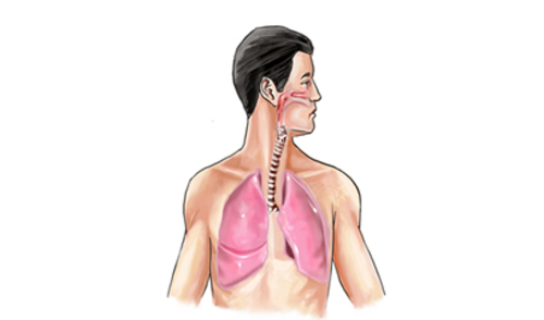 Kretanje otpora u dišnim putovima kod astme, kroz četiri godišnja doba