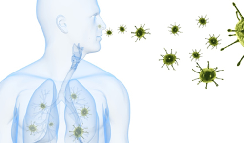 Mikrobiota nosa prediktor recidiva kroničnog rinosinusitisa s nazalnim polipima Mikrobiota nosa prediktor recidiva kroničnog rinosinusitisa s nazalnim polipima