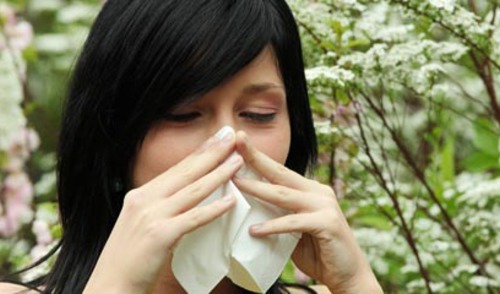 Alergijski sindrom dišnih putova - veza alergijskog rinitisa i astme