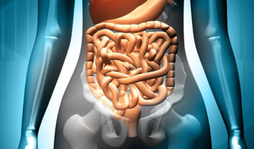 Vitamin D u gastroenterologiji