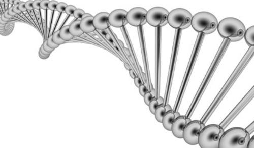 Kako starenje mijenja naše gene: epigenetski atlas donosi najjasniju sliku dosad Kako starenje mijenja naše gene: epigenetski atlas donosi najjasniju sliku dosad