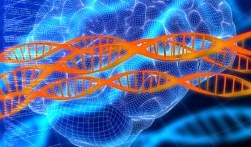 Razvoj smjernica za procjenu predloška DNA