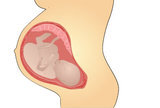 Obnovljene smjernice za praćenje bolesti štitnjače u trudnoći