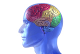 Alzheimerova bolest - kognitivna intervencija