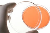 3. simpozij - Suvremeni značaj crijevne mikrobiote