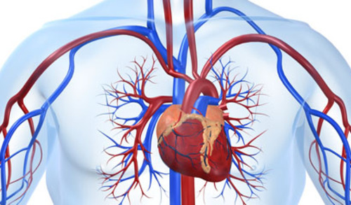 Antitrombotici u liječenju zatajenja srca 