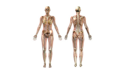 Različiti metaboliti u osteopeniji i osteoporozi