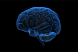 Slikovni prikaz razvojnog oštećenja mozga: što je normalno, a što abnormalno?