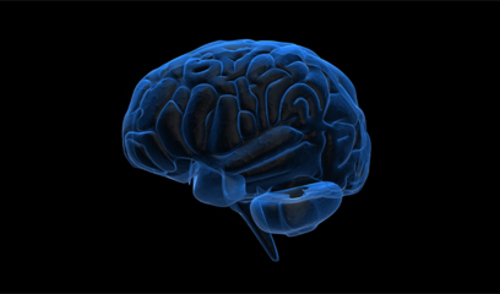 Molekularno oslikavanje u pretkliničkim istraživanjima ishemijske lezije mozga 