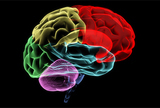 Mapiranje mozga