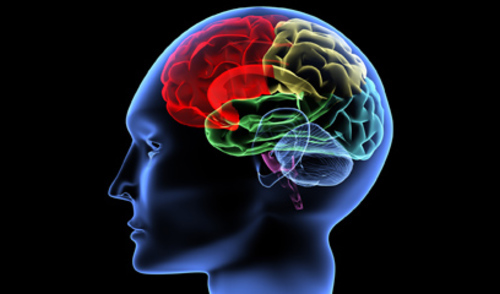 Stimulacijom mozga protiv Alzheimera