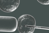 Prijenos smrznutog embrija povezan s malim povećanjem rizika od raka u potomstvu